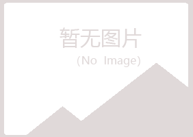 黑龙江字迹咨询有限公司